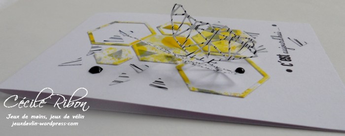 Carte AID15 - DSCN0502