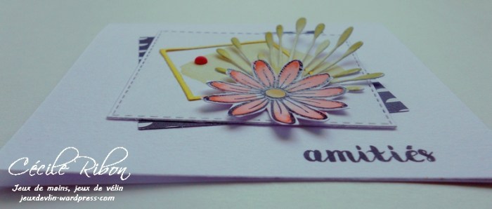 Carte CTD446 - DSCN0990