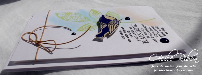 Carte CTD447 - DSCN1094