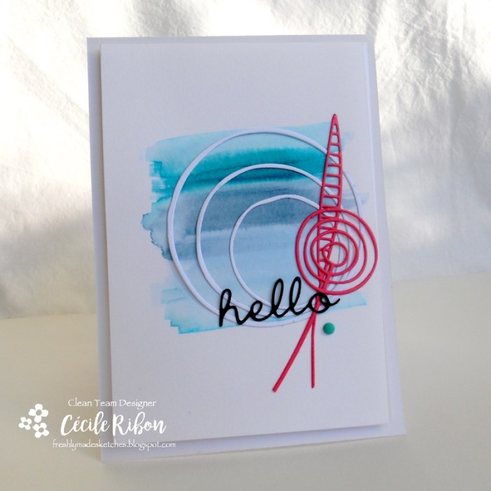 Carte FMS292 - DSCN1029