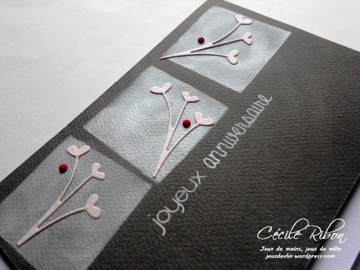 Carte Fusion18 - DSCN0859