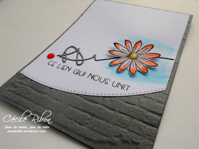 Carte FUSION19 - DSCN1062