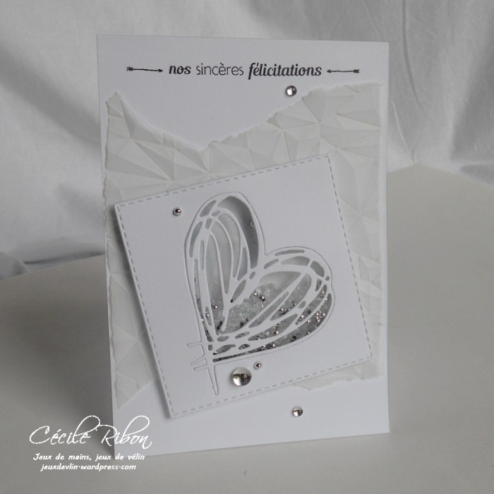 Carte JUGS395 - DSCN0666