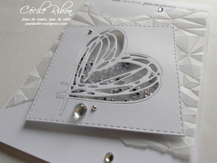 Carte JUGS395 - DSCN0680