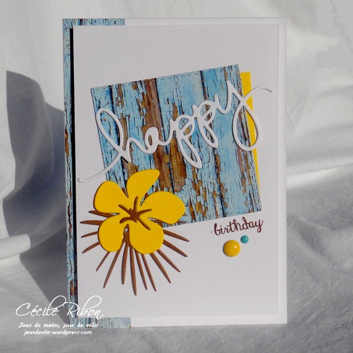 Carte JUGS398 - DSCN1118