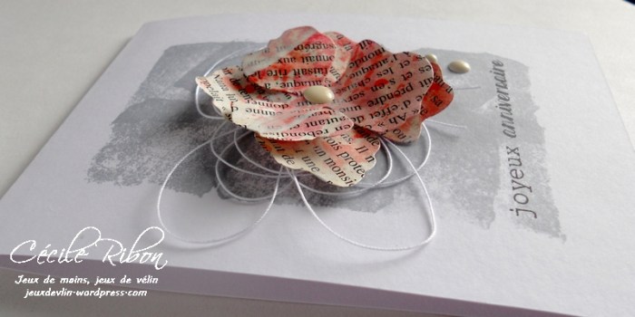 Carte PCC491 - DSCN0832