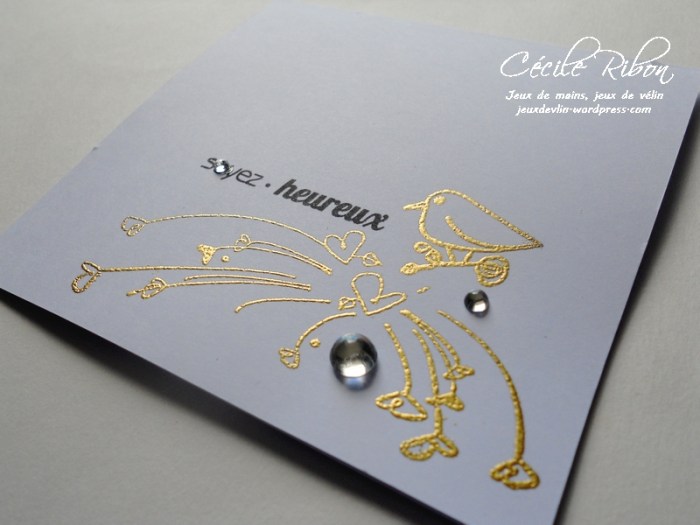 Carte PCC492 - DSCN1026