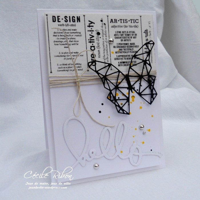 Carte PCC494 - DSCN1219