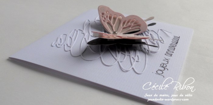 Carte PCC495 - DSCN1346