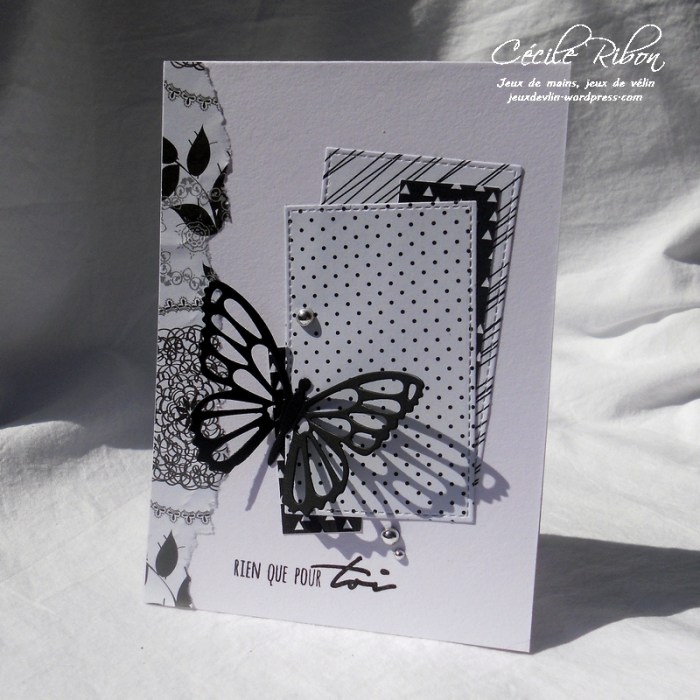 Carte Scrap&co1 - DSCN1070