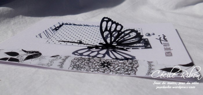 Carte Scrap&co1 - DSCN1071