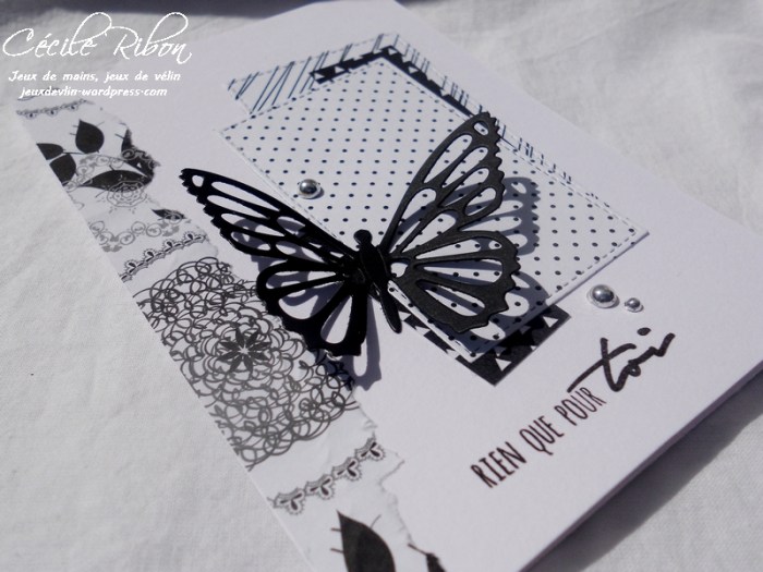 Carte Scrap&co1 - DSCN1079