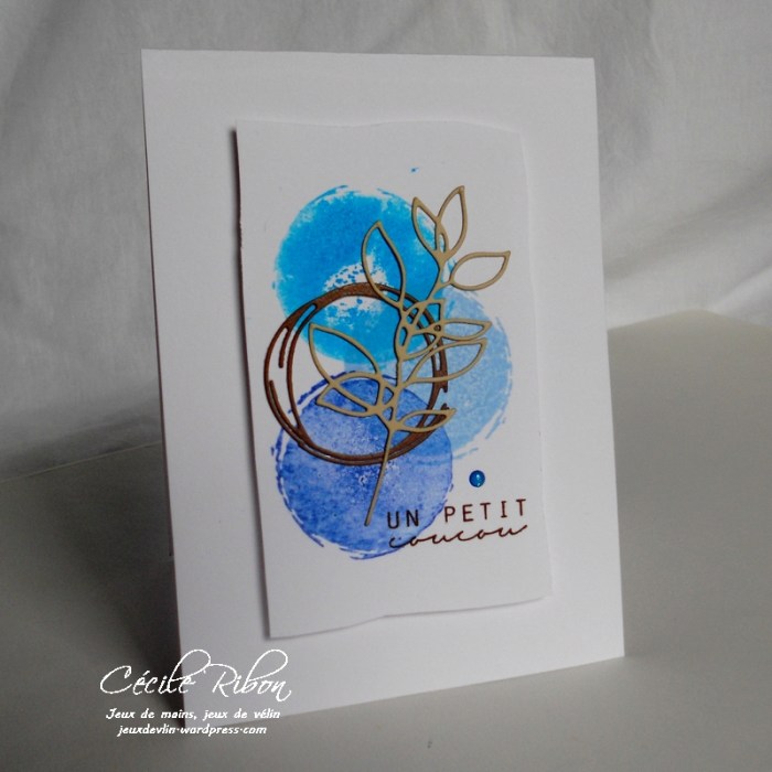 Carte AID17 - DSCN1298