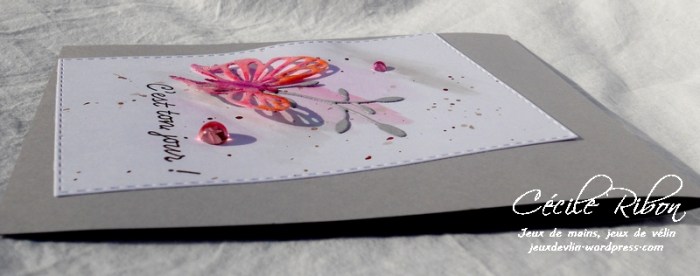 Carte Christine P - DSCN1514