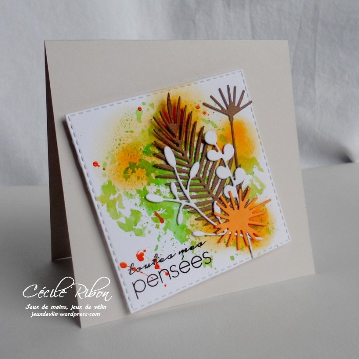 Carte CTD449 - DSCN1387