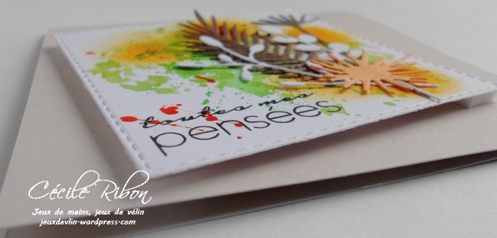 Carte CTD449 - DSCN1390