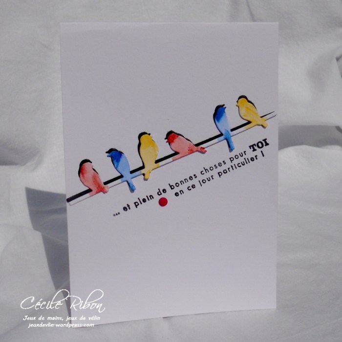 carte CTD450 - DSCN1554