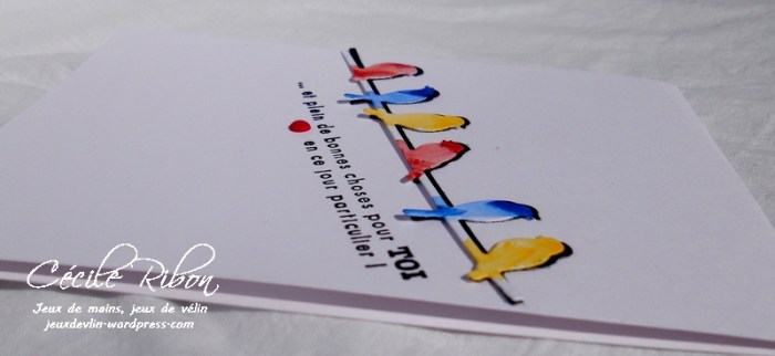 Carte CTD450 - DSCN1556