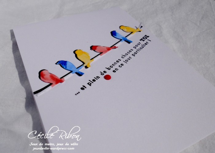 carte CTD450 - DSCN1558