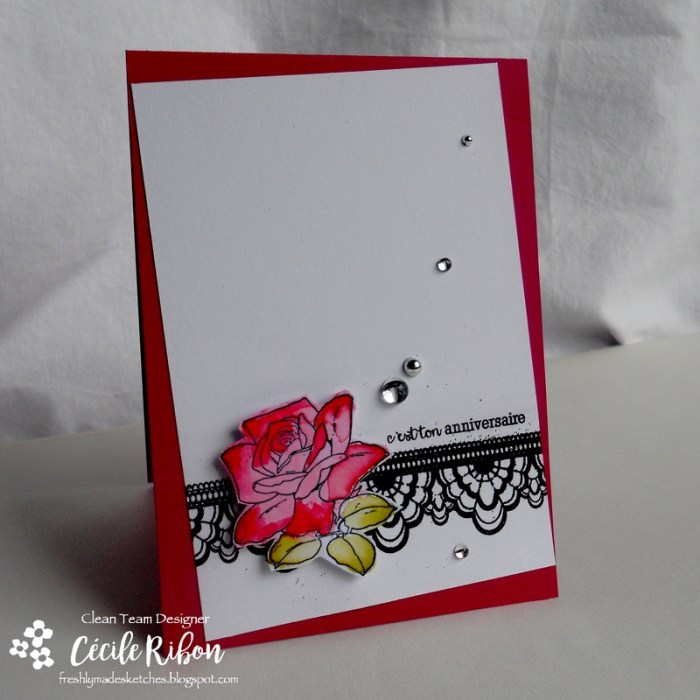 Carte FMS295 - DSCN1424