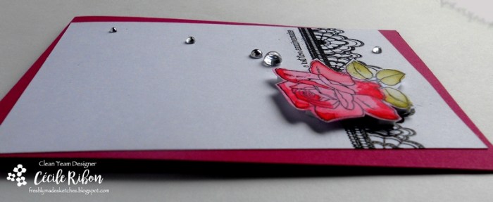 Carte FMS295 - DSCN1430