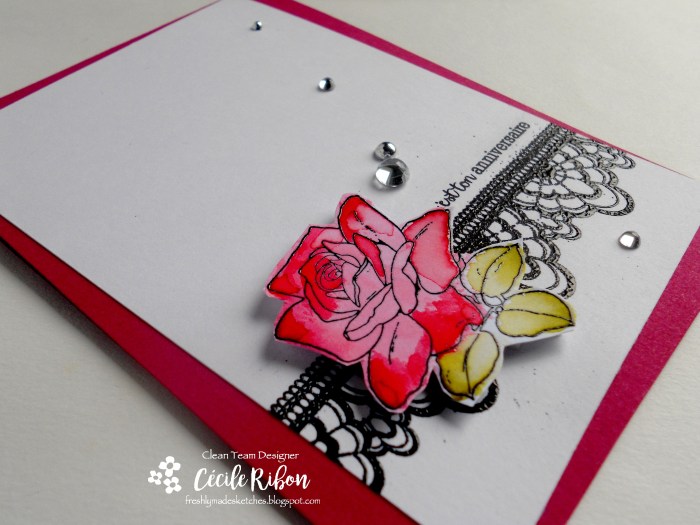 Carte FMS295 - DSCN1433