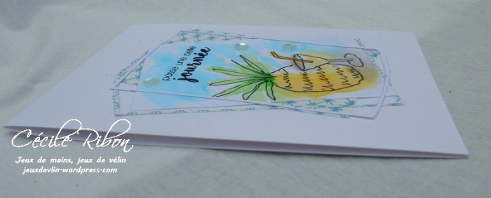 Carte LittleScrap16 - DSCN1333