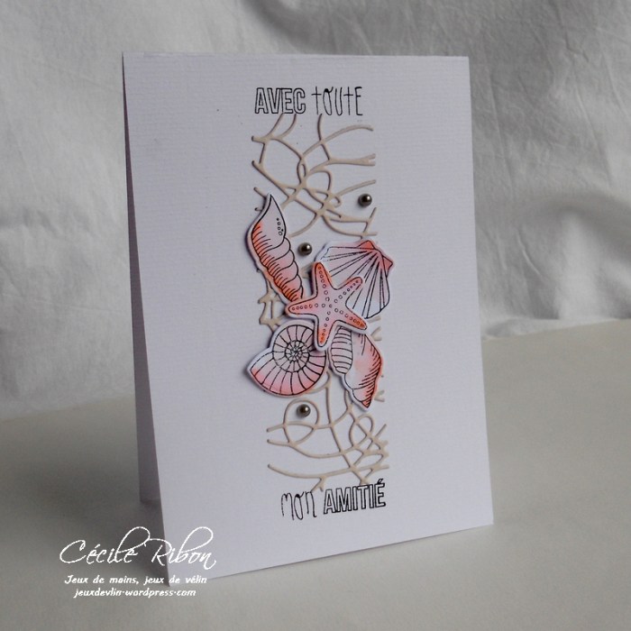 Carte LittleScrap17 - DSCN1357