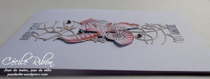 Carte LittleScrap17 - DSCN1363