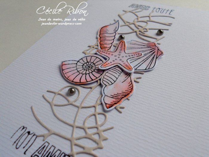 Carte LittleScrap17 - DSCN1368