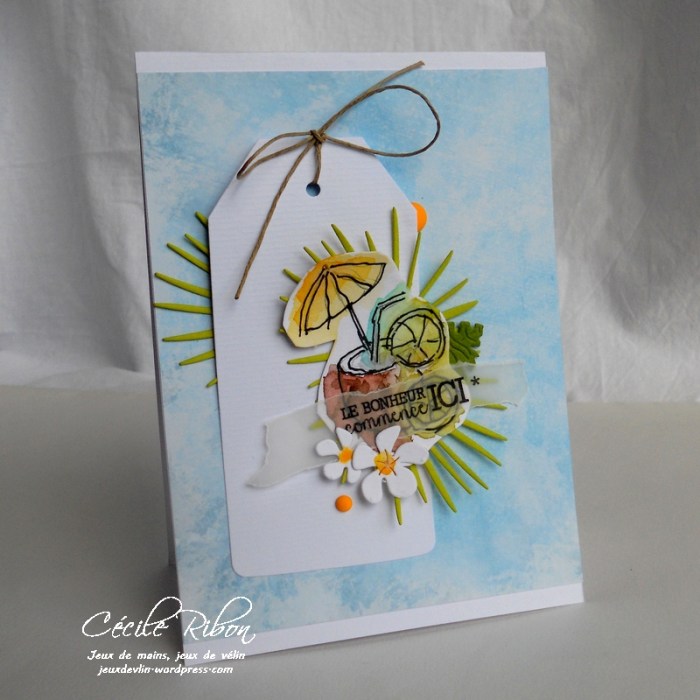 Carte LittleScrap19 - DSCN1494