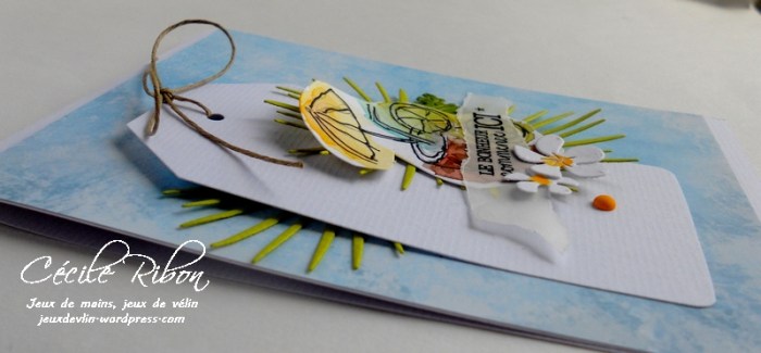 Carte LittleScrap19 - DSCN1498