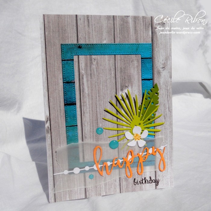 Carte LittleScrap21 - DSCN1564