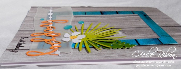 Carte LittleScrap21 - DSCN1570