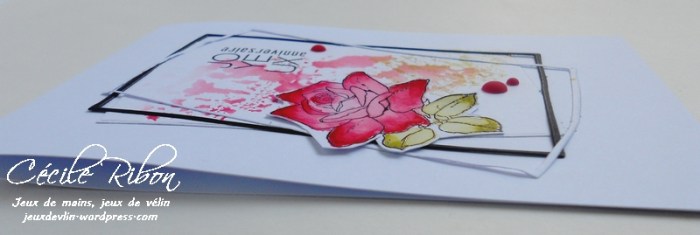 Carte Patricia - DSCN0775