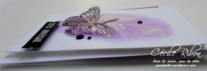 Carte Solene - DSCN0761