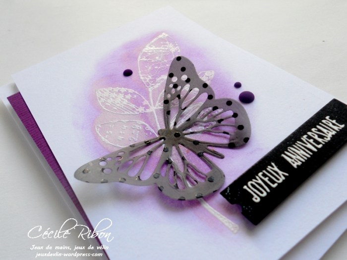 Carte Solene - DSCN0768