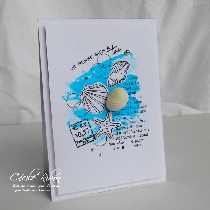 Carte AID18 - DSCN1601