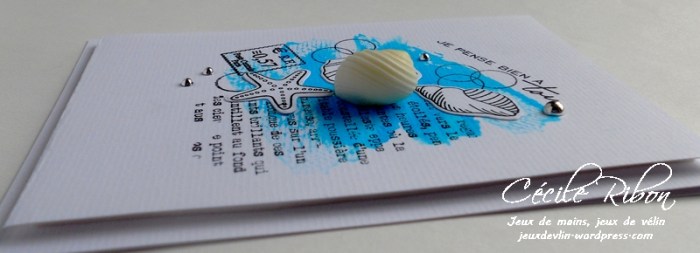 Carte AID18 - DSCN1604