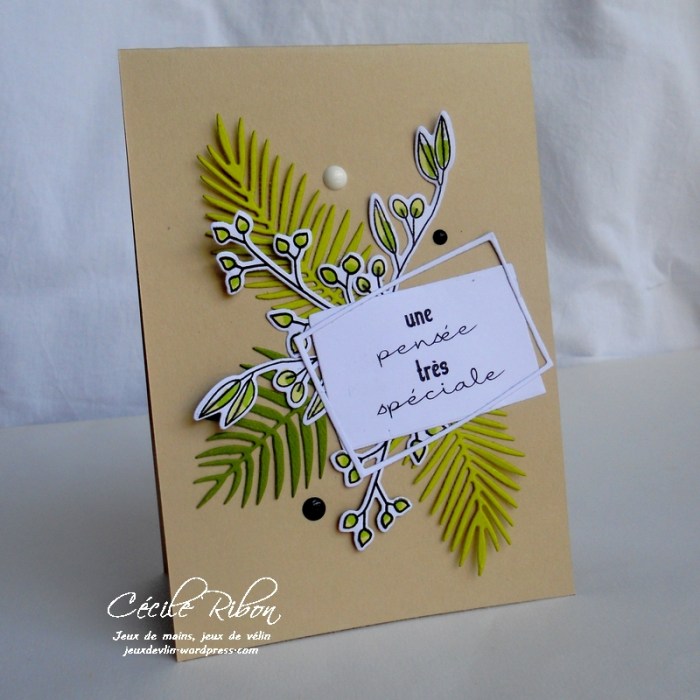 Carte CTD454 - DSCN1698