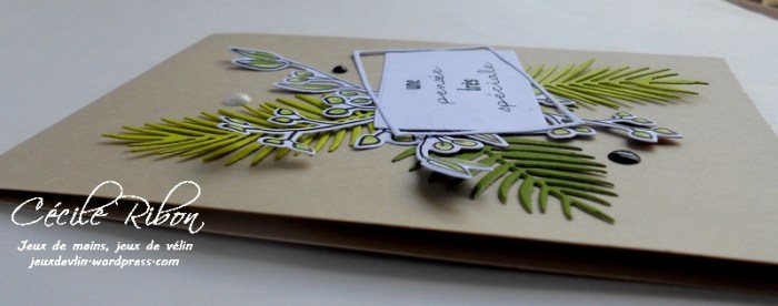 Carte CTD454 - DSCN1700