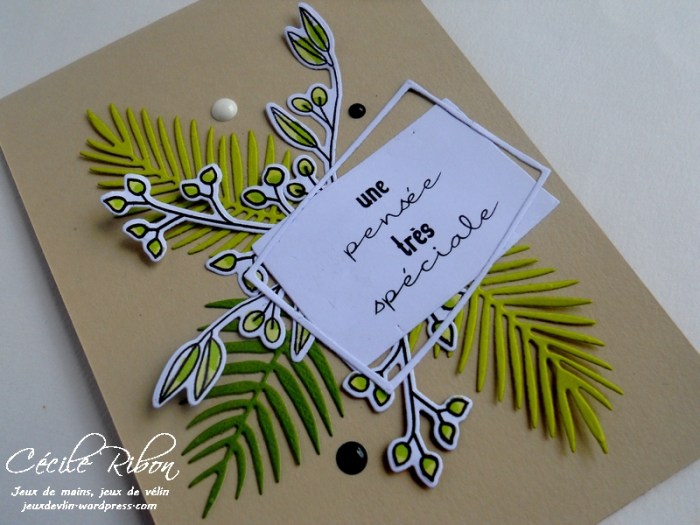 Carte CTD454 - DSCN1704