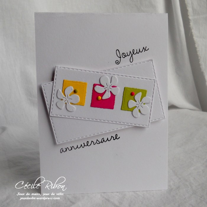 Carte CTD456 - DSCN2007