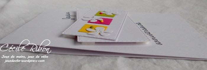 Carte CTD456 - DSCN2009