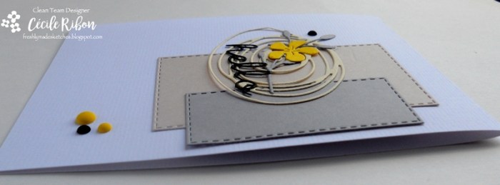 Carte FMS300 - DSCN1765