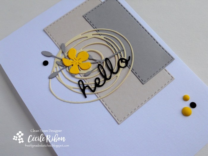 Carte FMS300 - DSCN1767