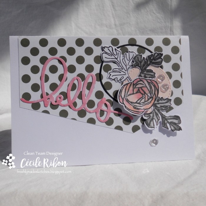 Carte FMS301 - DSCN1946