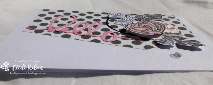 Carte FMS301 - DSCN1949