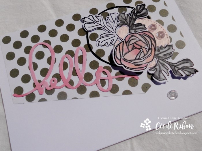 Carte FMS301 - DSCN1950