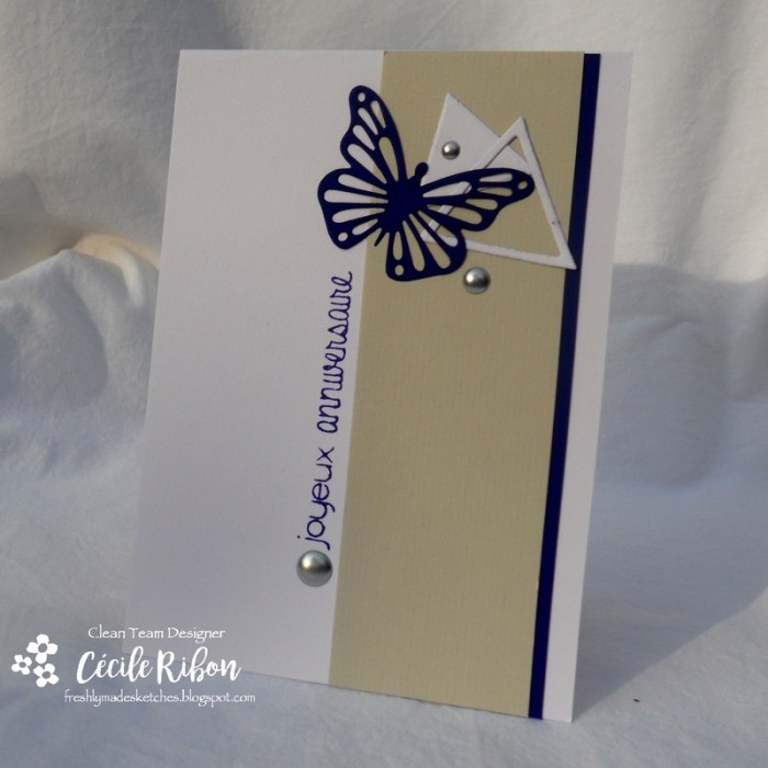 Carte FMS303 - DSCN2294